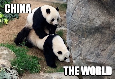 Coronavirus, Wuhan Flu, Kung Flu, COVID-19, Chinese Lung AIDs, Sino Sinus Syphilis, Pandas Mating, Bat Soup